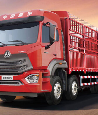 Howo N 8X4 Cargo Truck