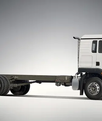 Howo TX 290 4x2 Cargo Truck