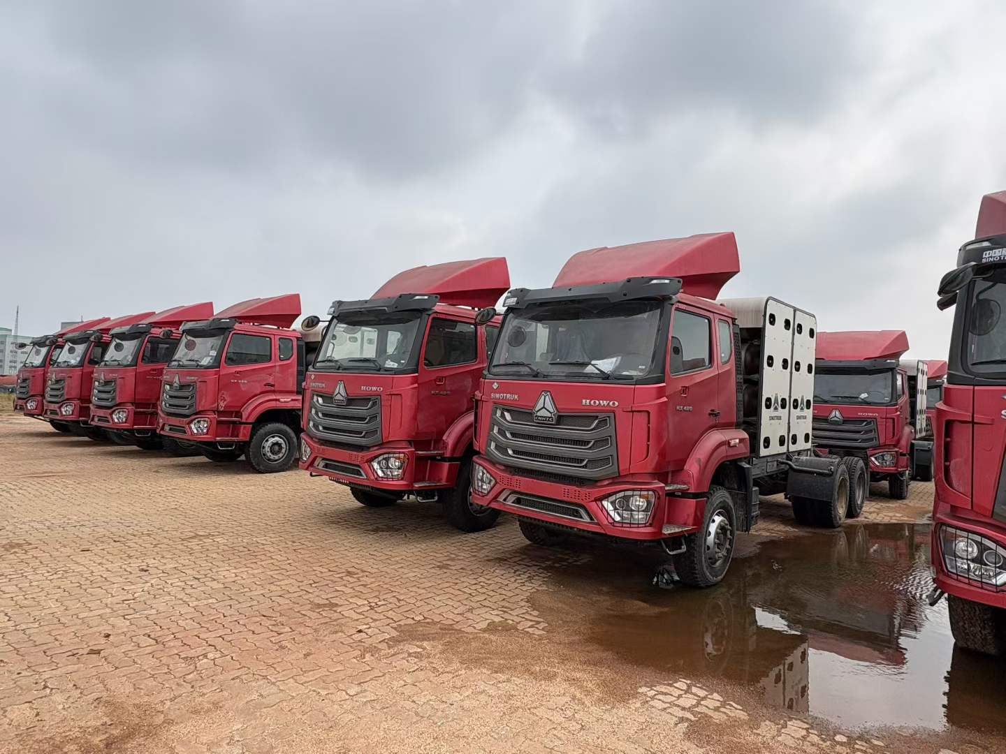 🚚 Batch of SINOTRUK HOWO CNG gas‑powered tractor units roll off the warehouse.